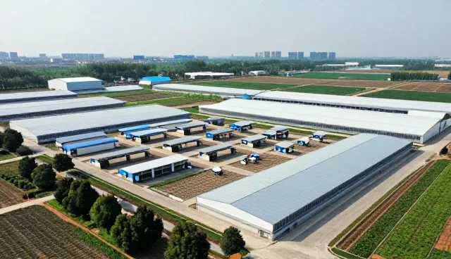 技术外包中的性能优化与适用场景分析